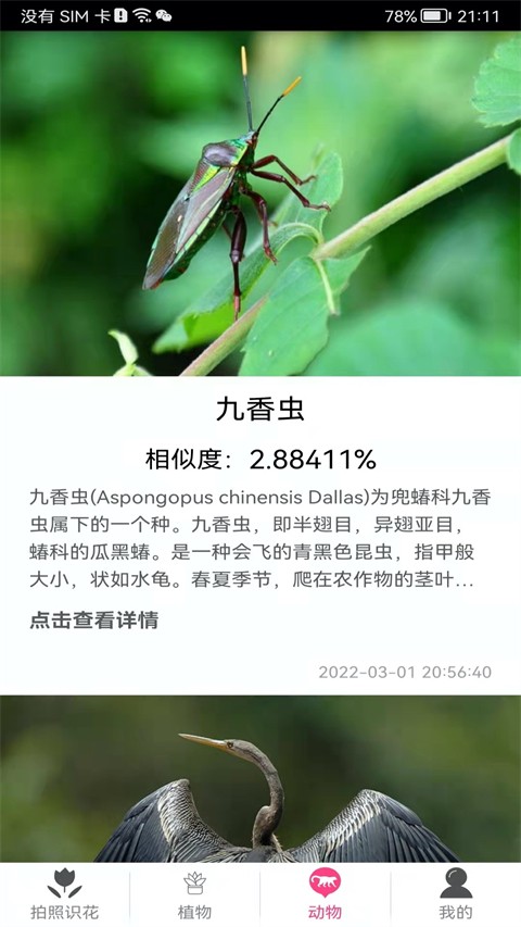 拍照识花神器图4