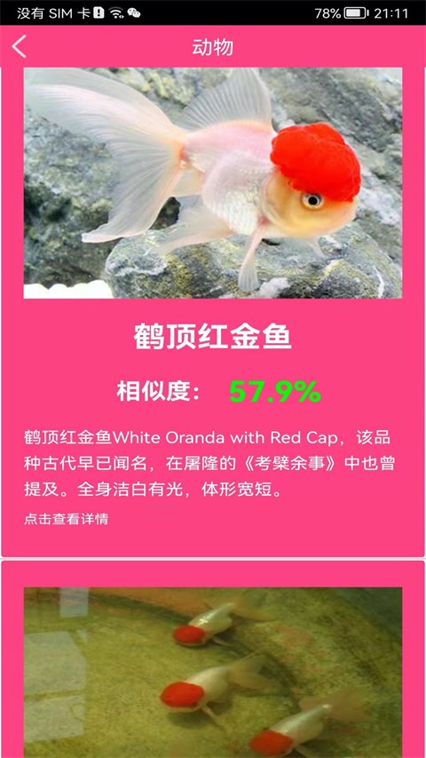 拍照识花神器图2