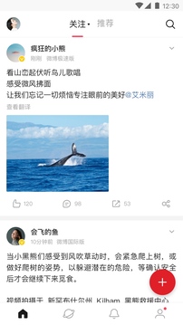 新浪微博国际版