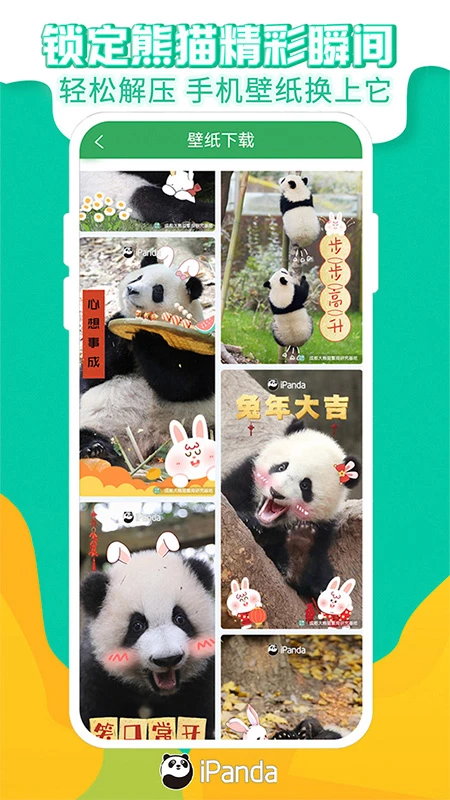 熊猫频道图2