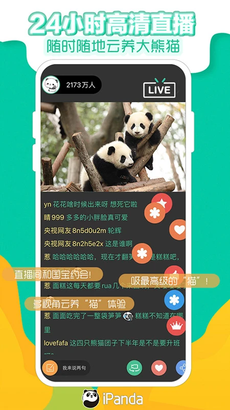 熊猫频道图5