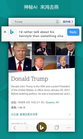 microsoft bing国际版