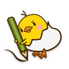 piyo日志手机最新版