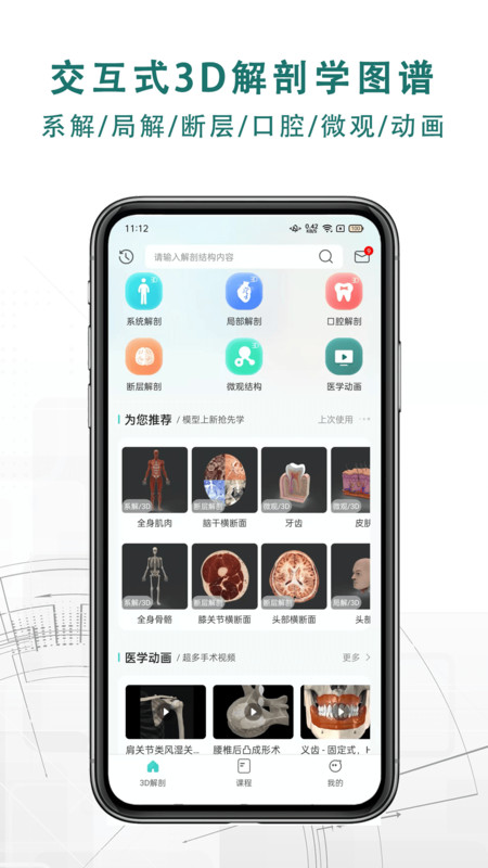 掌上3d解剖图3