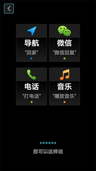 大加智行手机免费版图3