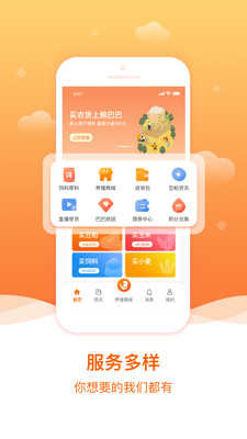 粮巴巴图3