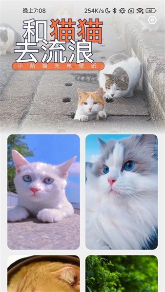 充电招福图5