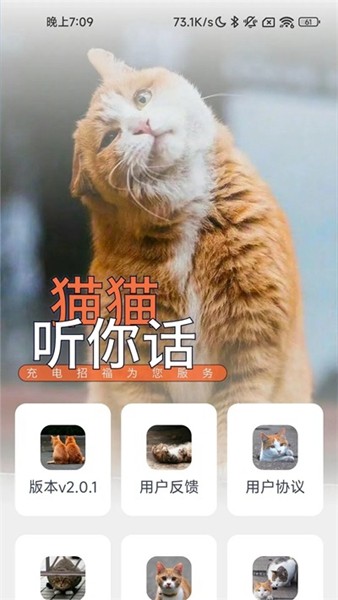 充电招福图2