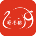 卷毛猪通用版