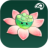 禅定花园手机最新版