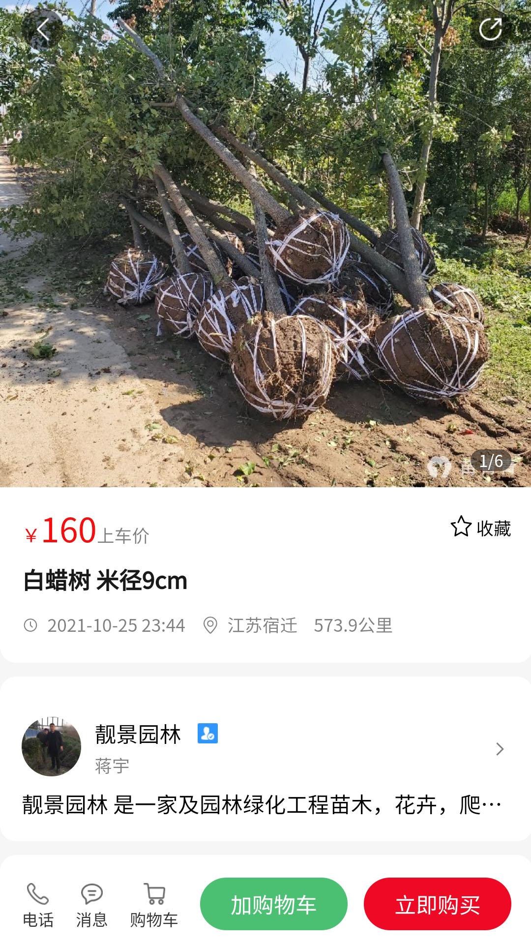 苗青青图2