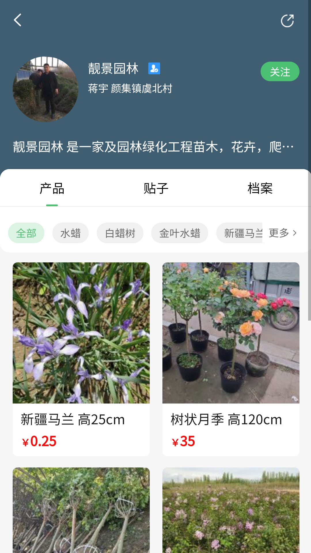 苗青青图3