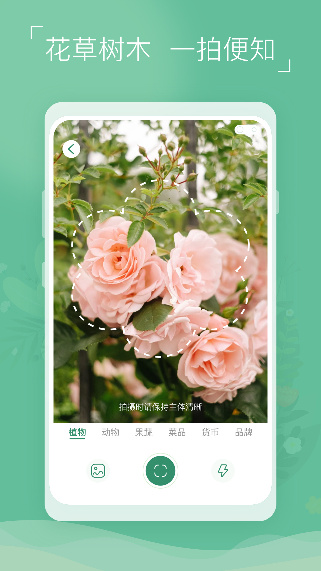 植物识别宝图2