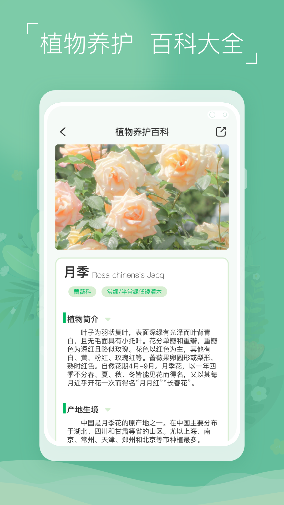 植物识别宝图5
