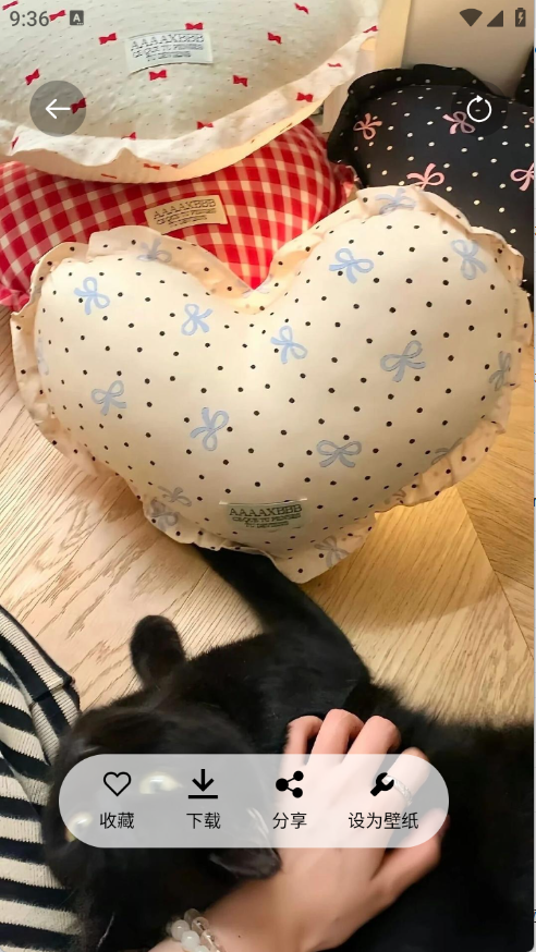 随心壁纸手机正版图3