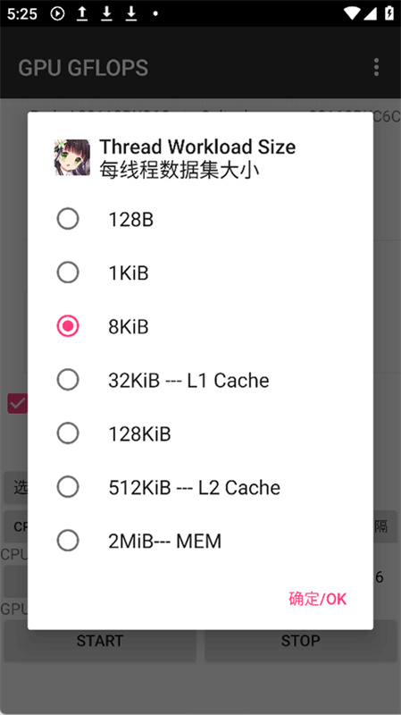 GPU GFLOPS(3)