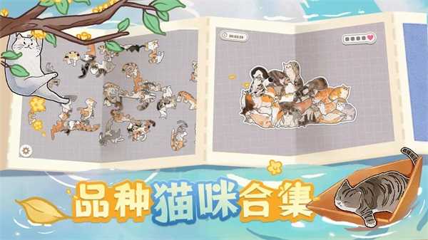 挤在一起的猫猫最新版