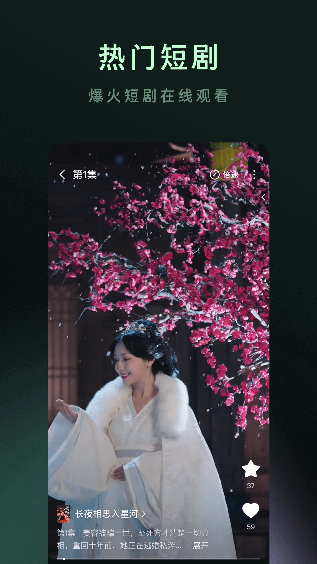 木叶短剧安卓版图1