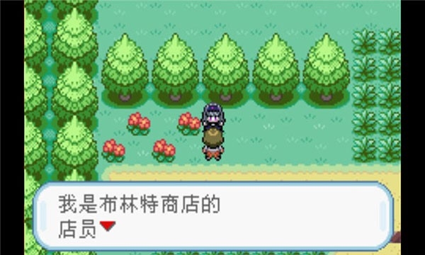 口袋妖怪火红手机版(2)