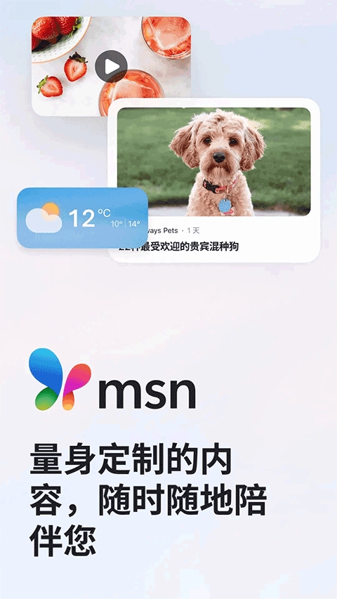 MSN手机版