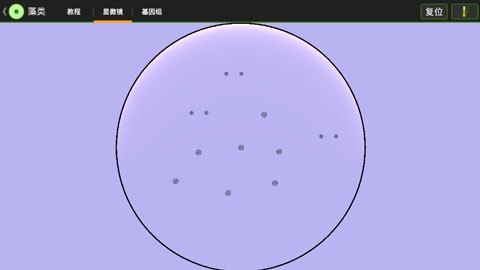 细胞实验室汉化版1