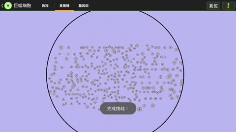 细胞实验室汉化版5