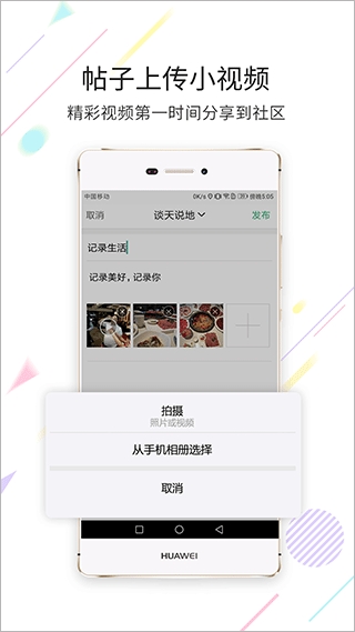 茶竹永川网-图4