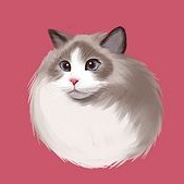 壁纸库最新版