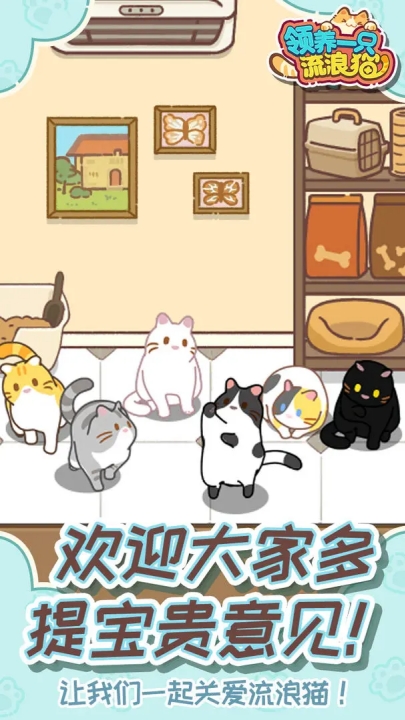 领养一只流浪猫(3)