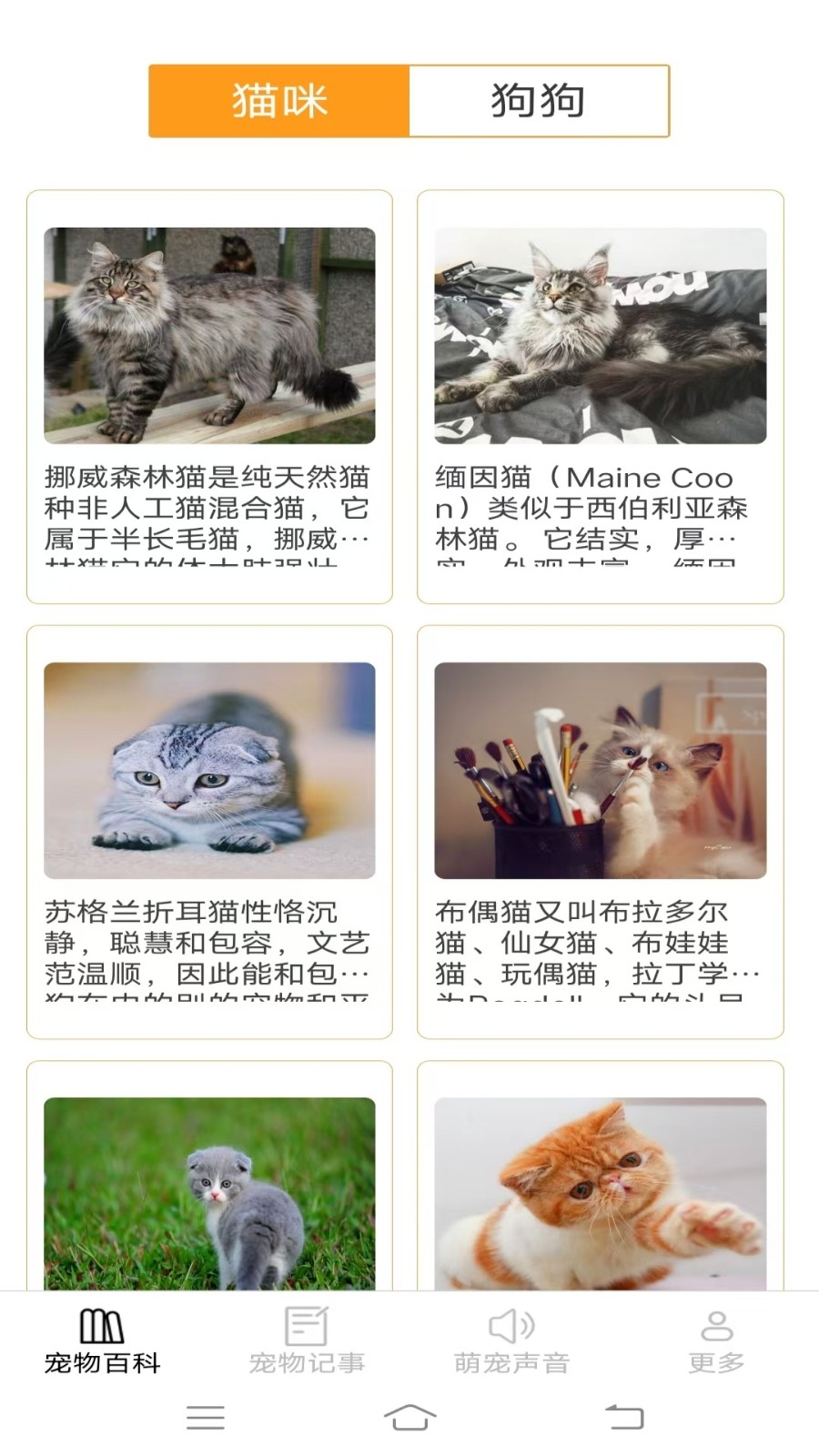 宠趣点点手机版图3