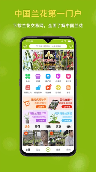中国兰花交易网安装手机版(3)