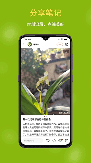 中国兰花交易网安装手机版(2)