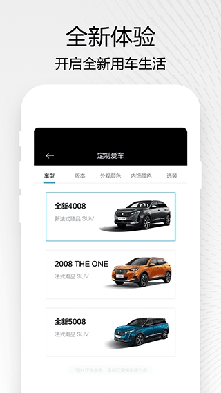 东风标致图3