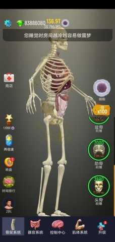 放置人类功能菜单(2)