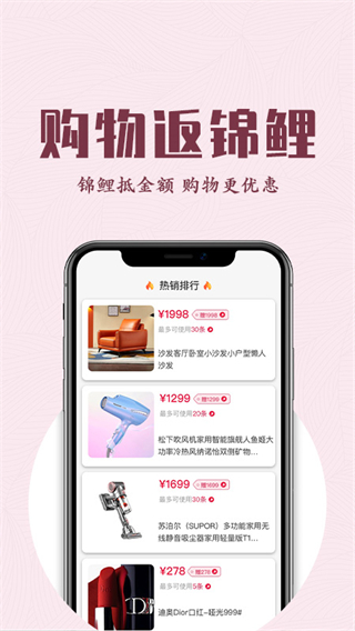 锦鲤购图2