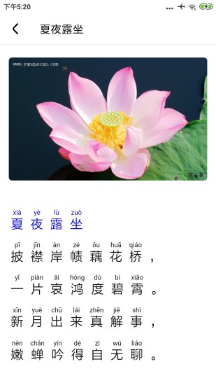 植物百科图5