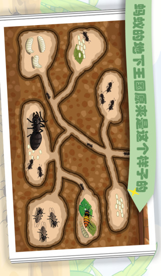 蚂蚁图3