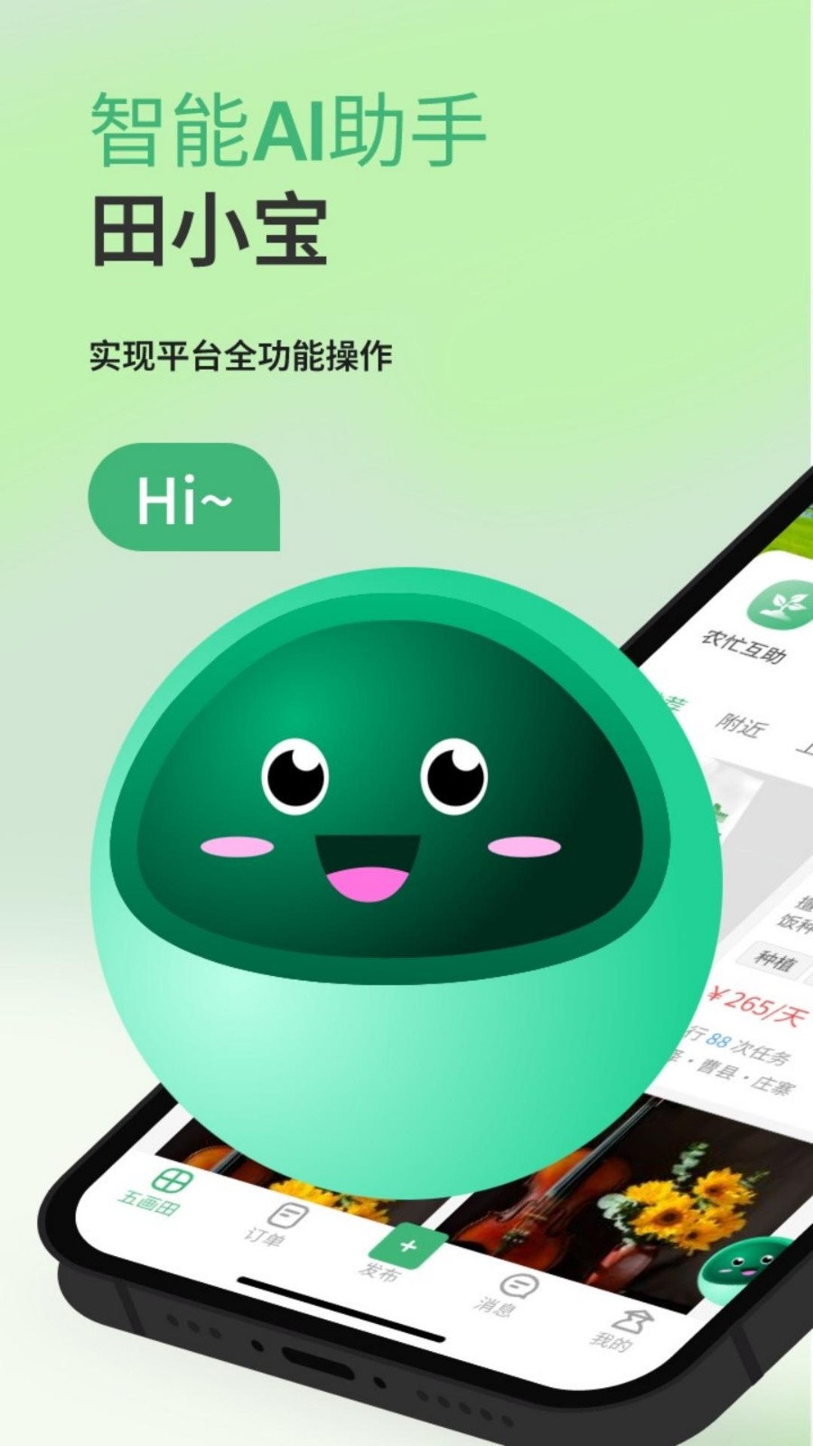 五画田安装图4
