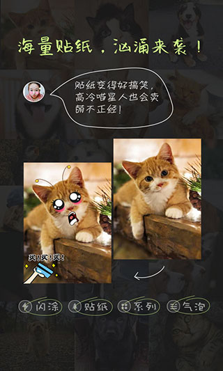萌宠相机(3)