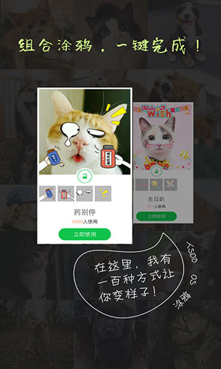 萌宠相机(4)