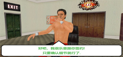 摔跤革命3d(4)
