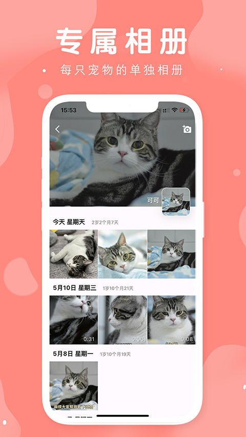 有宠手机正版图3