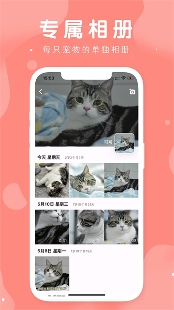 有宠无广告版图3