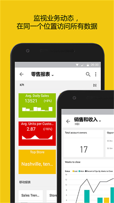 PowerBI中文版图2