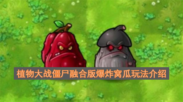 植物大战僵尸融合版中爆炸窝瓜的玩法指南