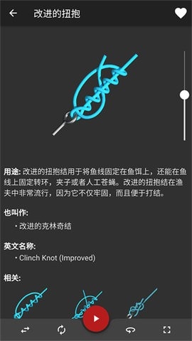 Knots3D安卓直装版图3