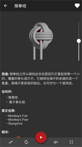 Knots3D安卓直装版图4