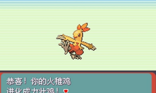 口袋妖怪：绿宝石图4