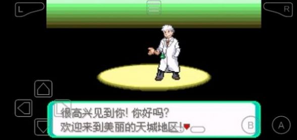 口袋妖怪黑暗之火(2)