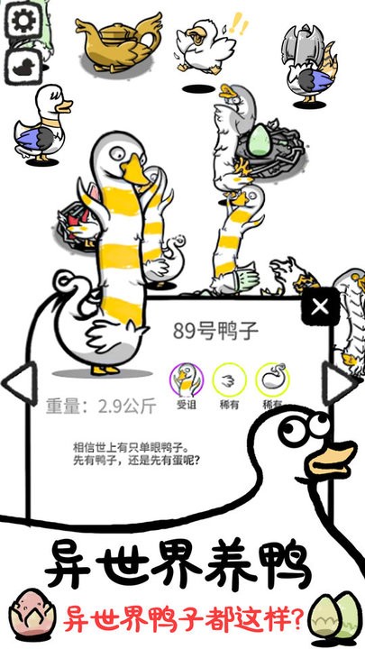 神奇的鸭子(3)
